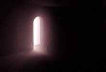 digital exploration and adventure