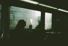 digital journey revealed unfolded