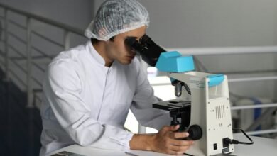 web based health solutions explored