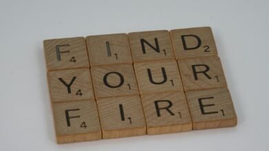 key findings from analysis