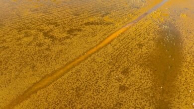 enterprise identifier resolution summary