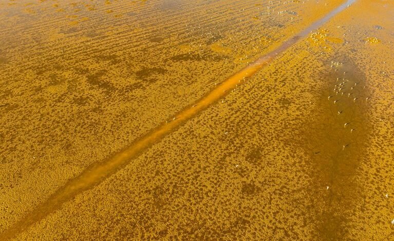 enterprise identifier resolution summary