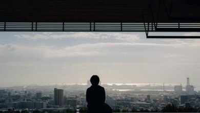 high reliability identifier summary