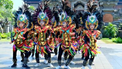 identifier performance brief summary