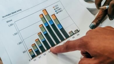 numeric risk review summary
