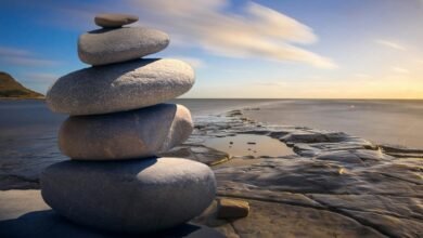 organizational identifier stability analysis