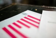 contact information report details