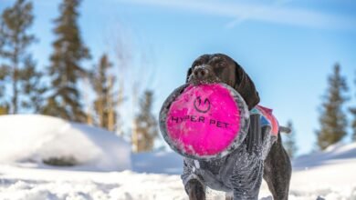 hyper node stellar beam