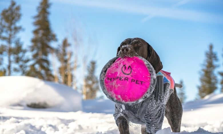 hyper node stellar beam